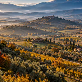 Campagna con ulivi e vigne